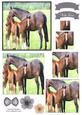 Beautiful Horse's Watercolour Pyramid Topper