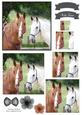 Beautiful Horse Watercolour Pyramid Topper