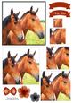 Beautiful Horse Watercolour Pyramid Topper