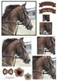 Beautiful Horse Watercolour Pyramid Topper