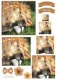 King of the Jungle Watercolour Pyramid Topper
