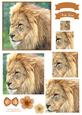 King of the Jungle Watercolour Pyramid Topper