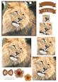 King of the Jungle Watercolour Pyramid Topper