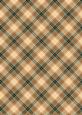 Plaid - Matching King of the Jungle Watercolour Pyramid