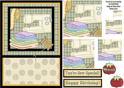 You're Sew Special! Pyramid Card Front