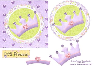 100% Princess Quare Card Front