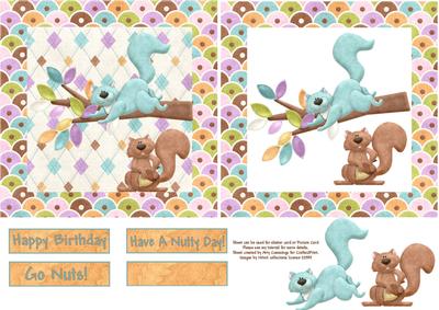Go Nuts! Shaker/picture Frame Card