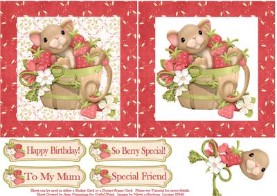 So Berry Special Shaker/picture Frame Card
