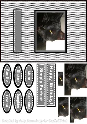 Black Cat Card Front Pyramid