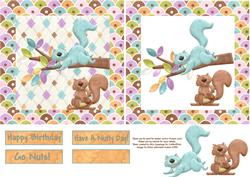 Go Nuts! Shaker/picture Frame Card