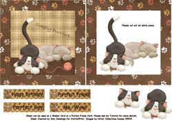 Me-wow! Shaker/picture Frame Card