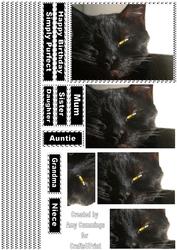 Black Cat Pyramid
