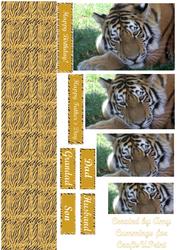 Tiger Pyramid Design