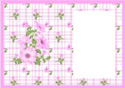 Pink Petunia Card Insert