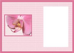 Pink Orchid Birthday Card Insert
