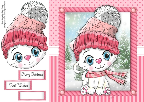 Festive White kitten  in pink bobble hat 8x8