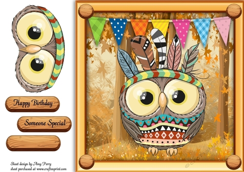 Cute Owl In Indian Fancy Dress 8x8