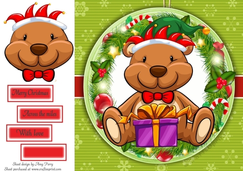 Teddy Bear with A Present In Holly Frame 8x8