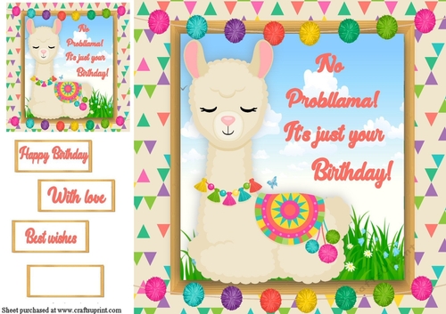 No Probllama its just your birthday Lllama fun 8x8 