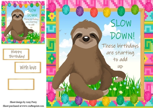Slow down! These birthdays are starting to add up sloth 8x8 