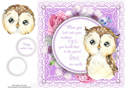When you look into your mothers eyes ... Owl 8x8