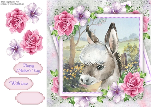 Beautiful Donkey With Pink Roses 8x8