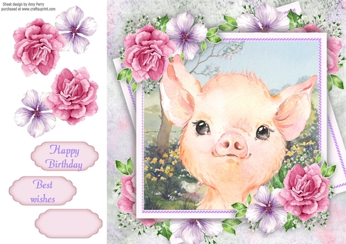 Beautiful Pig With Pink Roses 8x8
