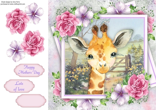 Beautiful Giraffe With Pink Roses 8x8