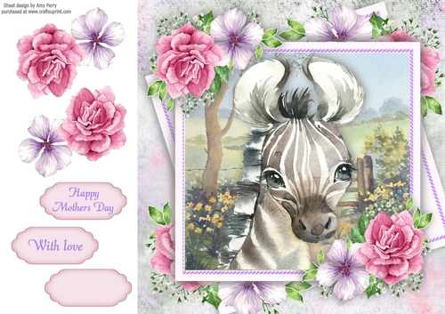 Beautiful Zebra With Pink Roses 8x8
