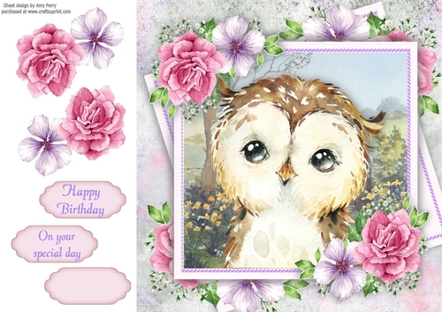 Beautiful Owl With Pink Roses 8x8