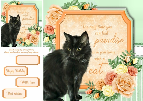 The only time you can find paradise is in your home with a cat 1 8x8