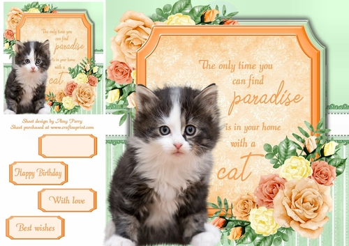 The only time you can find paradise is in your home with a cat 2 8x8