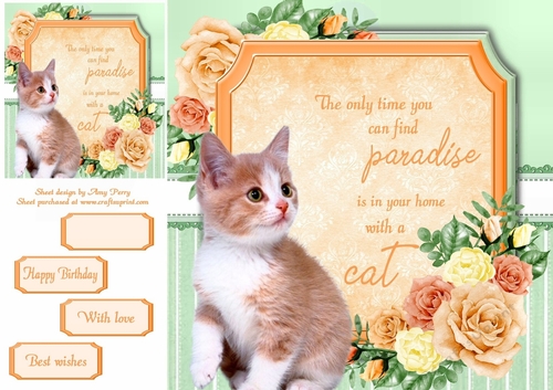 The only time you can find paradise is in your home with a cat 3 8x8
