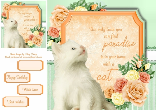 The only time you can find paradise is in your home with a cat 6 8x8