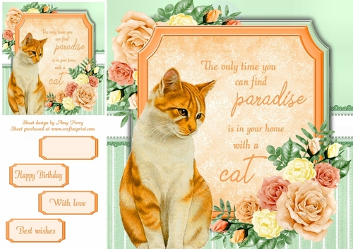 The only time you can find paradise is in your home with a cat 7 8x8