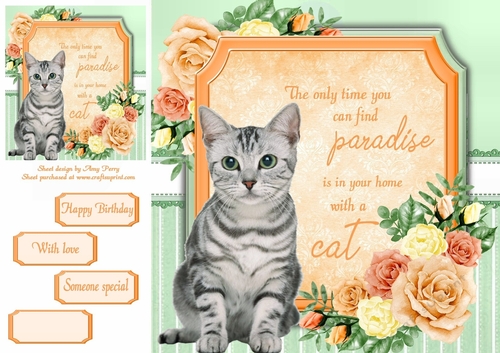 The only time you can find paradise is in your home with a cat 8 8x8