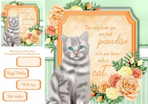 The only time you can find paradise is in your home with a cat 10 8x8