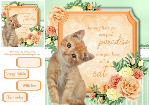 The only time you can find paradise is in your home with a cat 11 8x8