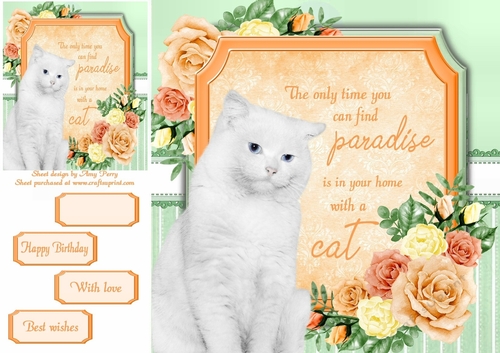 The only time you can find paradise is in your home with a cat 12 8x8