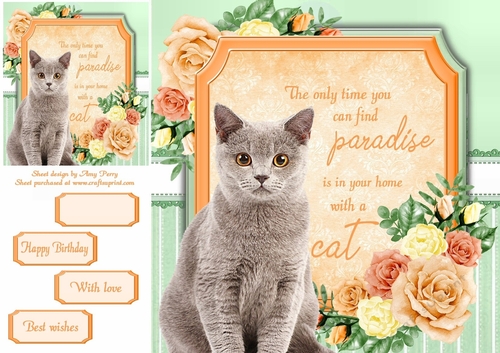 The only time you can find paradise is in your home with a cat 13 8x8