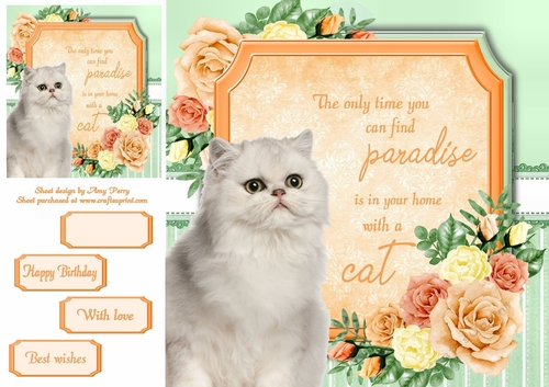The only time you can find paradise is in your home with a cat 14 8x8