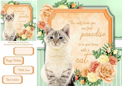 The only time you can find paradise is in your home with a cat 15 8x8
