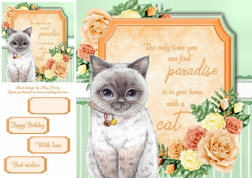 The only time you can find paradise is in your home with a cat 16 8x8
