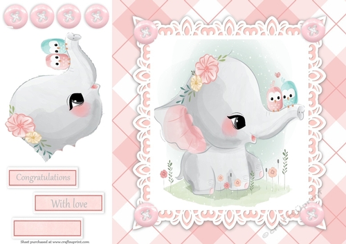 Gorgeous Baby Girl Elephant With Birds 8x8