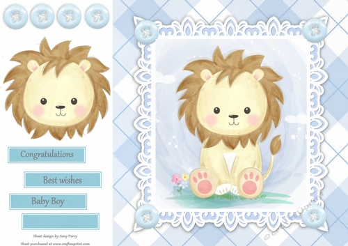 Gorgeous Baby Boy Lion 8x8