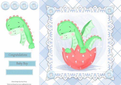 Gorgeous Baby Boy Dinosaur In A Egg 8x8