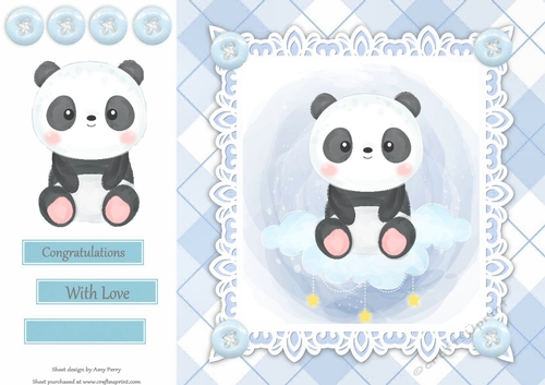 Gorgeous Baby Boy Panda 8x8