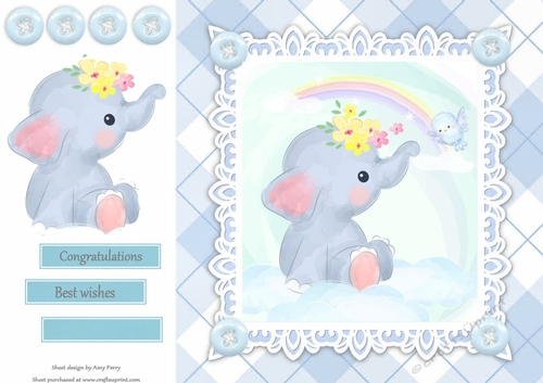 Gorgeous Baby Boy Elephant With Rainbow 8x8