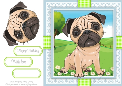 Cute Pug In Gingham Frame 8x8