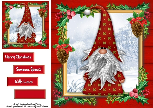 Gorgeous Festive Red Gnome 4 8x8